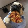 honghong 🐶 profil fotoğrafı
