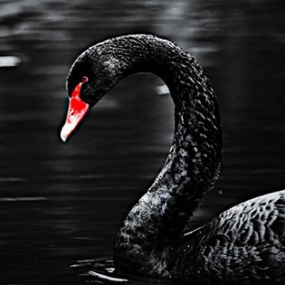 外汇交易员's profile picture