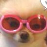 Dan's profile picture