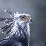 Riddled Equinox profil fotoğrafı