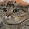 Profilbild von pan