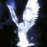 highly's profile picture