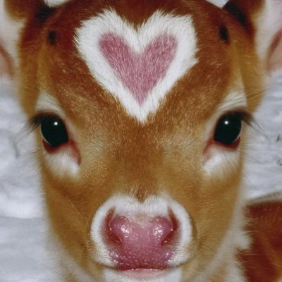 rebecca's profile picture