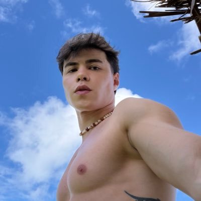 gusrochaa's profile picture