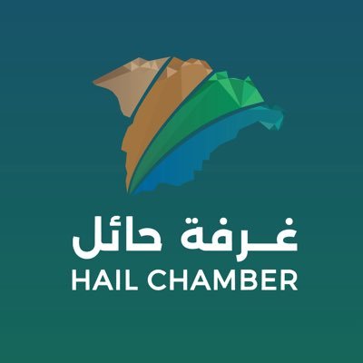 hailchamber's profile picture