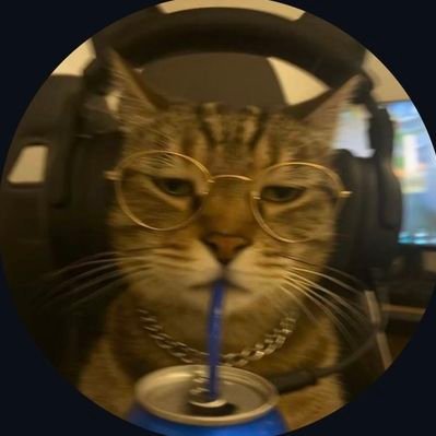Grokified's profile picture