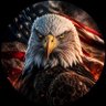 🇺🇸 ObiWanShinobi 🇺🇸 的头像