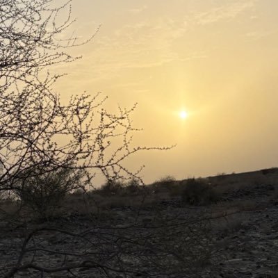 Mah Baloch's profile picture