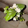 Фото профиля Pradeep