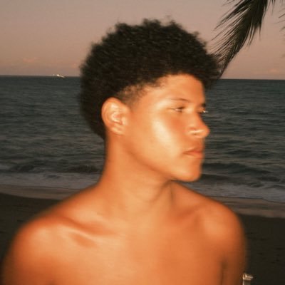 kaique ꕤ's profile picture