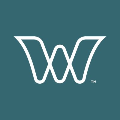 WorldViewSpace's profile picture