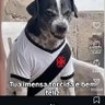 Profilbild von Henrique