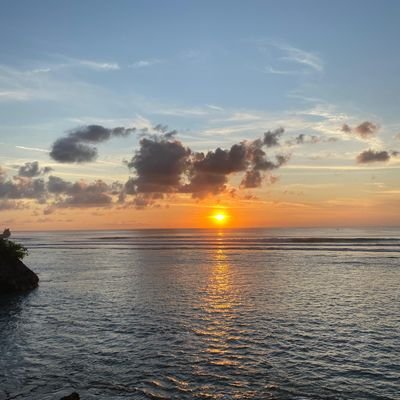 Robert's profile picture