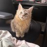 Red Pill 的头像