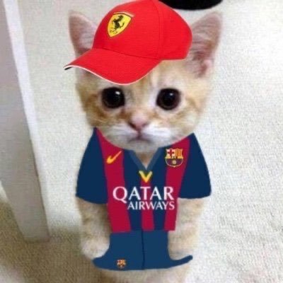 ✯'s profile picture