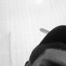 VICCHIE 🤎🪶's profile picture