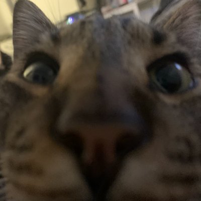spookyaddison's profile picture