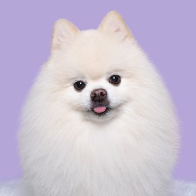 tkddud957's profile picture