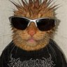 Gera Rod's profile picture