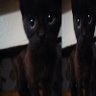 Profilbild von x