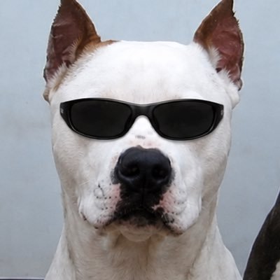abhner's profile picture