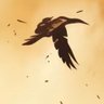 Profilbild von jazvan_012