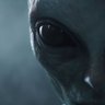 Profilbild von No estamos solos 👽