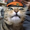 Profilbild von しさてかてかت