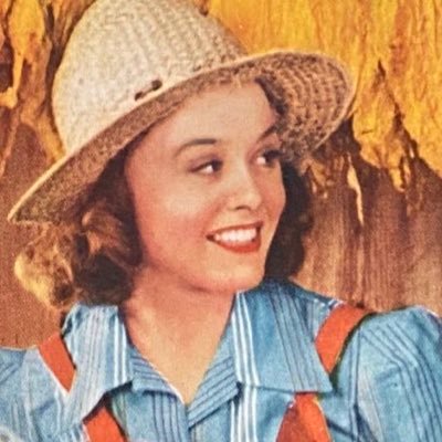 Southern Chestnut 🇺🇸's profile picture