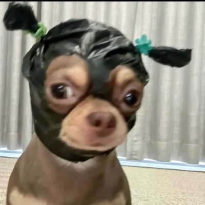 Jelly Santos's profile picture