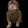 Profilbild von nickeno