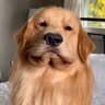 𝓰𝓸𝓵𝓭𝓲𝓮's profile picture