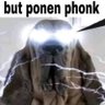 Profilbild von Elpapudelosmolletes