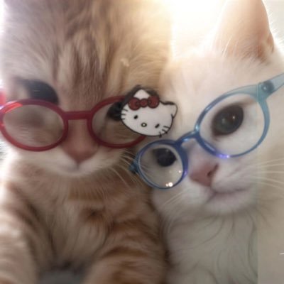 bunniesecrett's profile picture