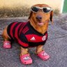 Laláᶜʳᶠ🔴⚫️'s profile picture