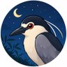 偷鱼的夜师傅 的头像