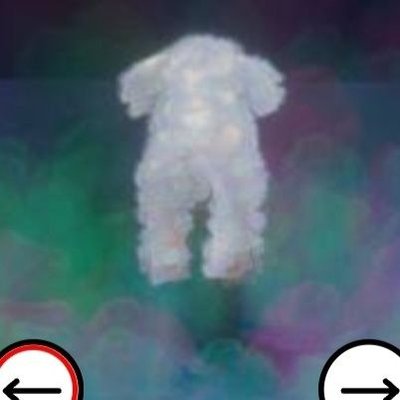 SourpussFJ's profile picture