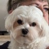 christl00724's profile picture