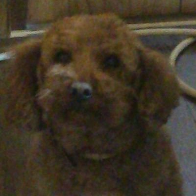 monsieur_961's profile picture