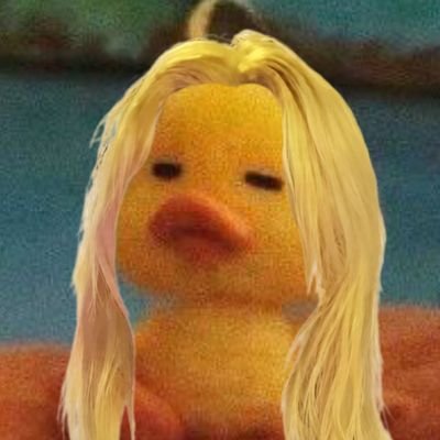 꾸콩's profile picture