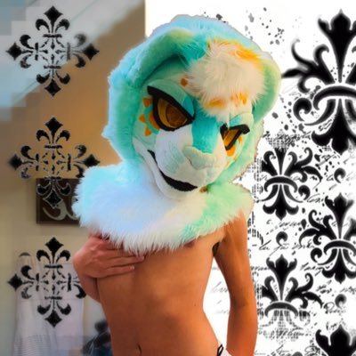 solarisclipsed's profile picture