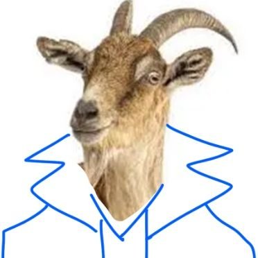 비워둘 수 없어 설정한 이름's profile picture