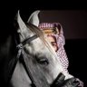 إسلام ماغيره 🫠's profile picture