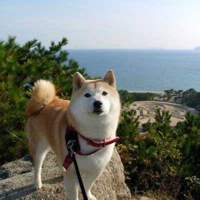 esenrruzgarr's profile picture