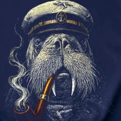 Backbord 161's profile picture