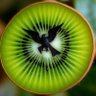 King Kiwi 的头像