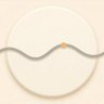 QuietBiology profil fotoğrafı