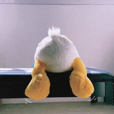 鸭鸭饱饱饭's profile picture