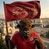 Profilbild von Mr yuval