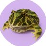 ベルちゃん🐸YutaKishi💜岸くん💜岸優太💜Number_i💜 profil fotoğrafı